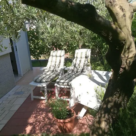 Apartman Oliva *