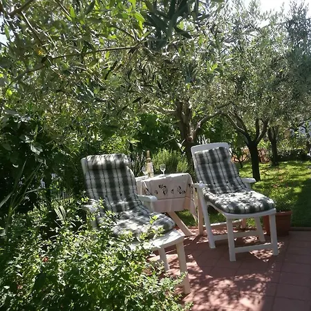 Oliva Apartman Póla